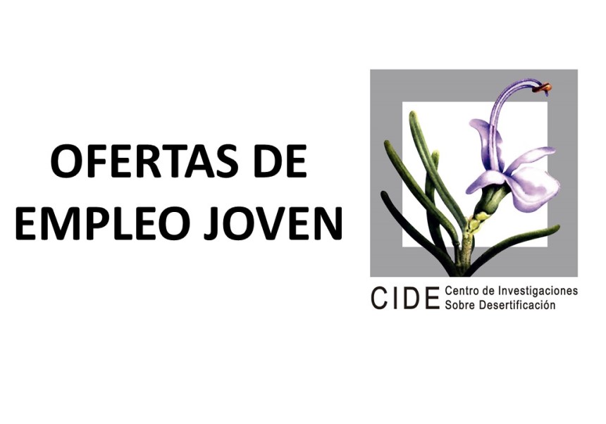 Image de la noticia